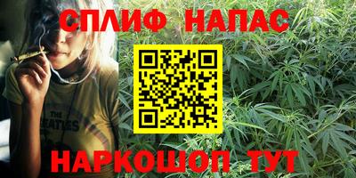 прущие грибы Кулебаки