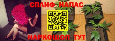 прущие грибы Кулебаки