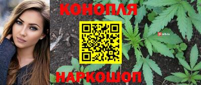 дмт Краснознаменск