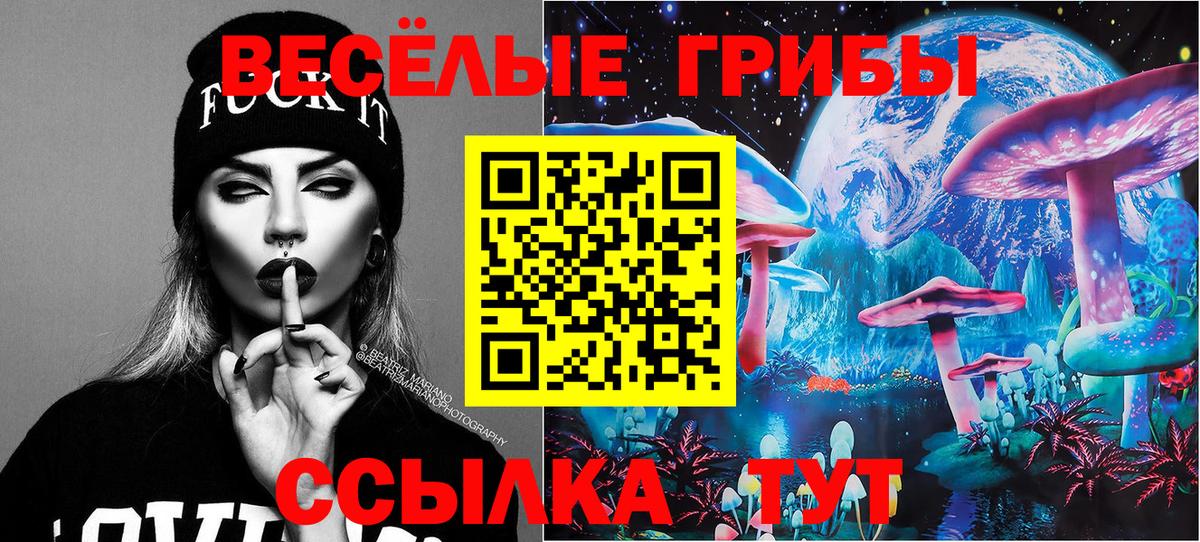 Клинцы  Галлюциногенные грибы MAGIC MUSHROOMS  Вход с VPN 