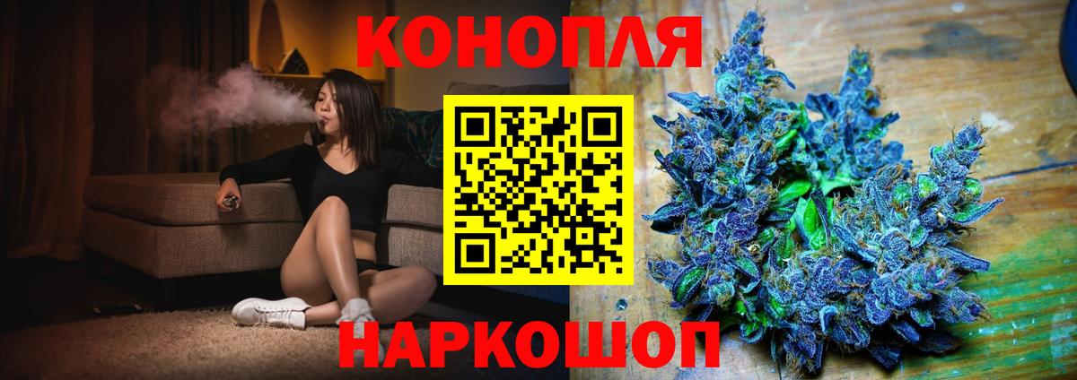 Канабис гибрид  Бошки Шишки семена  Клинцы  Конопля планчик  Каннабис VHQ  Вход с VPN 